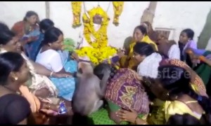Heartwarming moment monkey consoles mourners at funeral in southern India