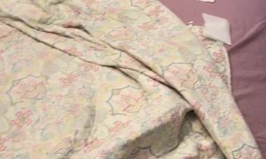 Messy Raccoon Hides in Closet