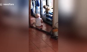 Adorable moment puppy and baby break into house