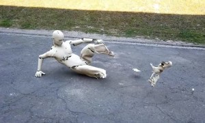 Taking Digital Animation to a Whole Other Level