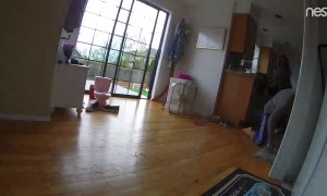 Hilarious Home Renovation Disaster