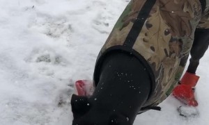 Snow Socks Make for Awkward Walk