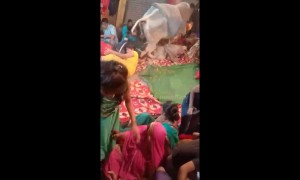 Bull tramples devotees at religious ceremony in India