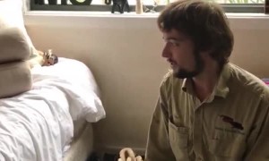 Carpet Python Retrieved From Child's Bedroom