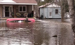 Flooding hits Huntsville, Canada after heavy rains and snowmelt