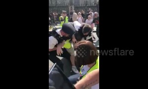 Pro-Brexit demonstrators clash with police outside UK Houses of Parliament