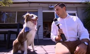 Stanley is in need of some media training!