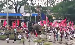 Rogue elephant causes panic during political party procession