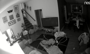 Surprise Staircase Slip