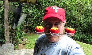 Humming Bird Hat Has Real Appeal