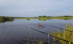 Fishing Buddies Rescue Entangled Swan