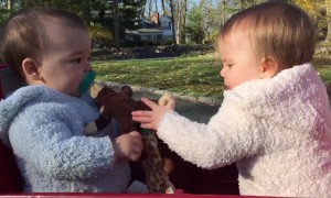 Twins have Funny way of Sharing