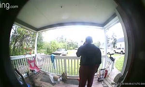 Visitor with an Itchy Backside