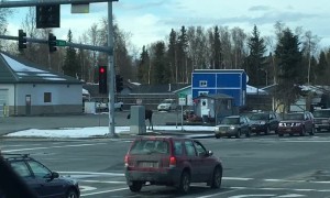 Moose Casually Crosses Busy Street