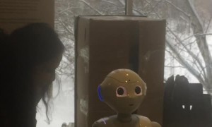 Ticklish Robot Interacts with Crowd