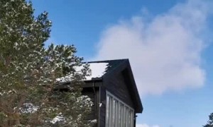 Woman incredibly starts pack howl with Norwegian wolves