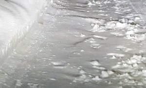 Mouse Struggles to Cross Snowy Street