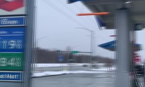 Dog on a Cold Tin Roof