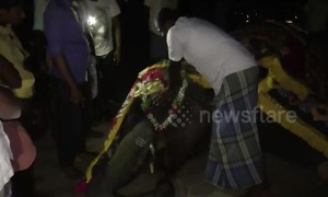 Devotees hold emotional funeral for tame elephant in south India