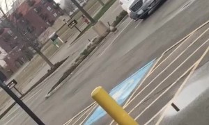 Goose is Tougher Than It Looks