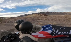 Dog Travels the World by Motorcycle