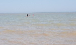 Windsurfer Photobombs Video