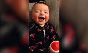 Baby Has the Cutest Laugh!