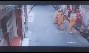 Terrifying moment raging bull rams into shoppers in northern India