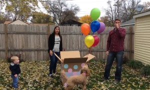 Epic Gender Reveals