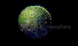 Artist creates eerie miniature world out of moss only 5cm in diameter