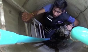 Cat rescued after spending three days stuck at the bottom of sewer in Thailand