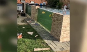 An Unusual Koi Enclosure