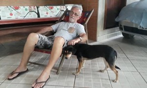 Dog Can't Get Enough Head Scratches