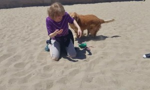 Dog and Grandma Reunited After More than a Year Apart