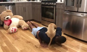 Puppy Helps with Workout Routine