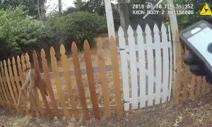 Officer rescues deer trapped in fence