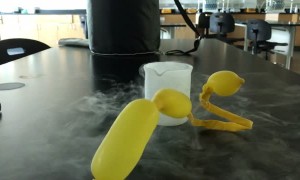 The Cool Effects of Liquid Nitrogen on a Balloon