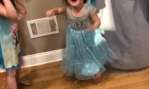 Dad Devises Leaf Blower Hair Dryer Solution