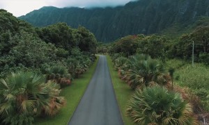 Relaxing Run Through Scenic Hawaii