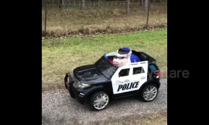 This little piggy went for a ride in a US police car