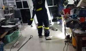 Family dog finds snake behind fridge in southern Thailand