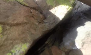 Climber Falls 60 Feet While Free Soloing in Colorado