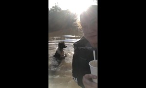 Dog won't stop splashing these people