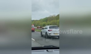 Cow stampede blocks major UK road during rush hour