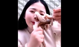 Octopus nearly rips off face of Chinese blogger who tried to eat it alive