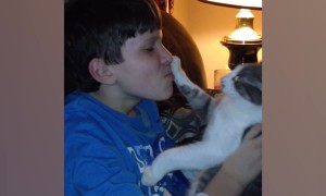 When Your Cat is Your BFF