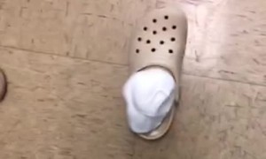 Stepping into a Shaving Cream Filled Croc