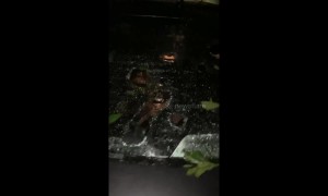 Car badly damaged by hail in Houston, Texas