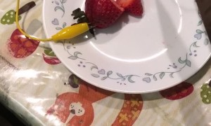 Strawberry Screams When You Cut Into It