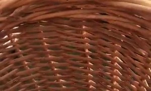 Making a Big Splash on King's Day